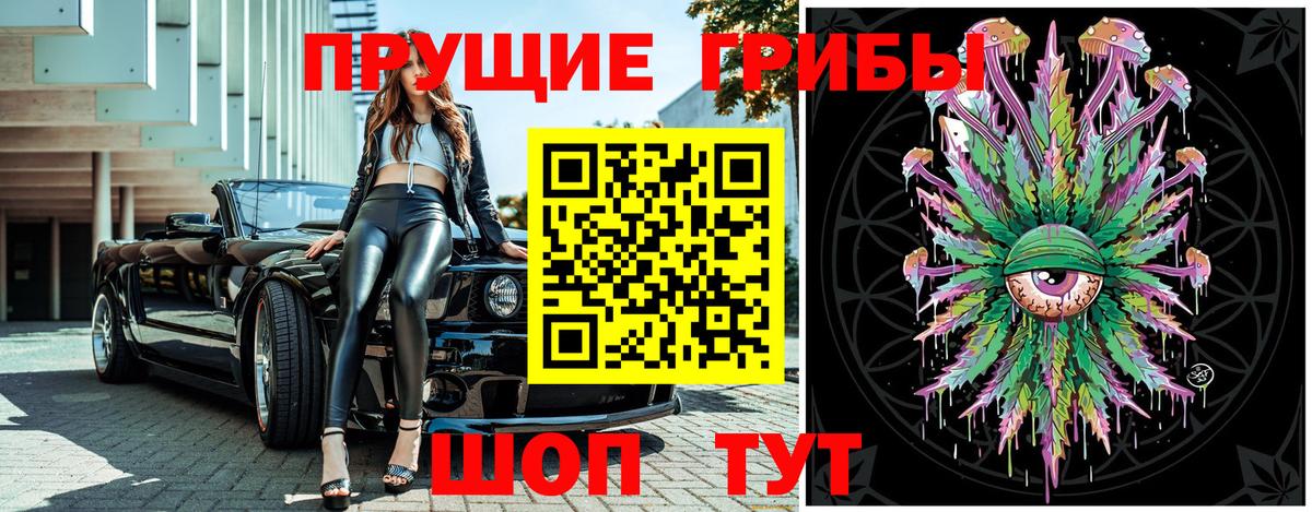 Ирбит  Псилоцибиновые грибы Psilocybe  Вход с VPN 